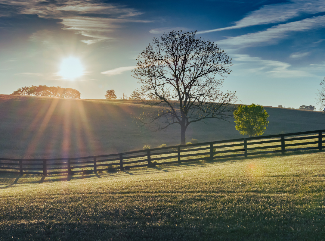 mindfulness in addiction recovery