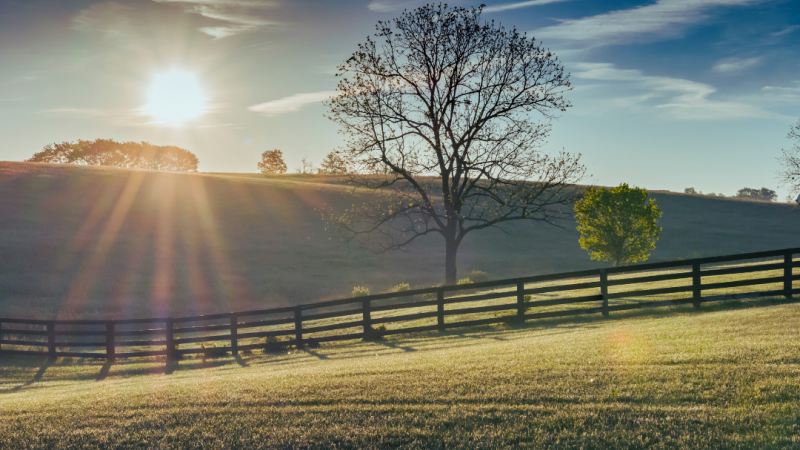mindfulness in addiction recovery